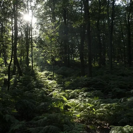 Lodges Op De Posbank