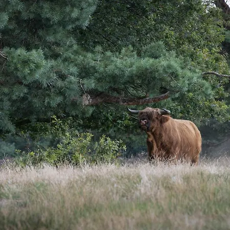 호텔 Lodges Op De Posbank